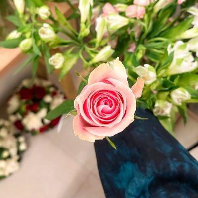 loojy_2's profile picture. "ولعلّ ما ترجوه آتٍ " |👩🏼‍⚕️💊