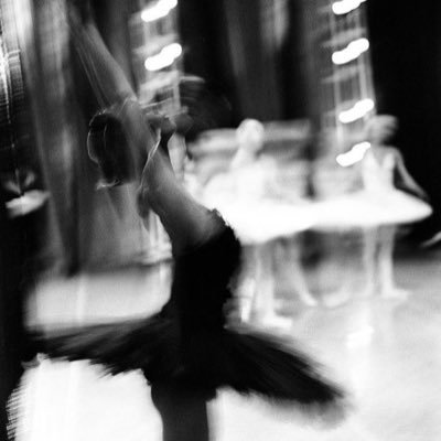 queenofwilis_'s profile picture. we’ll be a fine line