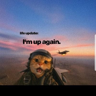 BenedictTu98632's profile picture. Introvert with an extrovert playlist 🎶.