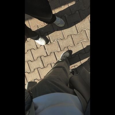 a_asena0's profile picture. 🌐