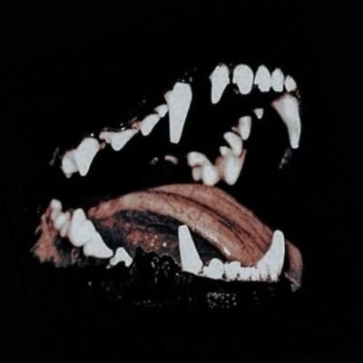 we_llrs's profile picture. 17 yo
🇵🇱/🇬🇧
drawing,music and idk