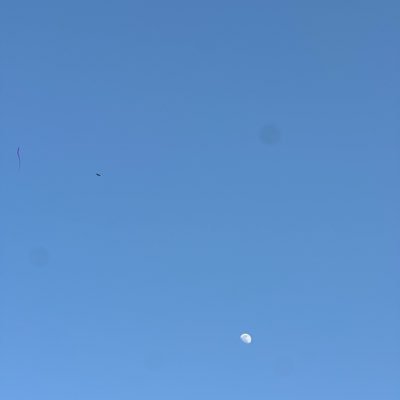 MiaM10949's profile picture. 