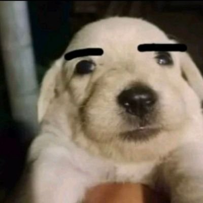 ftmediina's profile picture. | 16🇲🇽 | G.K.3 |