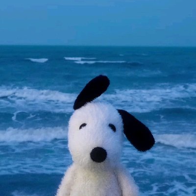 shsenoopy's profile picture. shsepilled too close to the sun