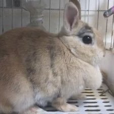 sskm_obaka's profile picture. 06kumamoto/ jam's/ミセスのおかげで最高の人生へと180°変わってしまった 乗っ取られてアカウントかえました 英語を勉強したいな