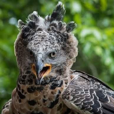 SURE__FIXEDTIPS's profile picture. 