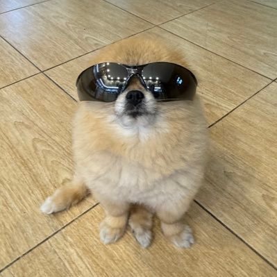 pomkori_X's profile picture. $KORI CA: HtTYHz1Kf3rrQo6AqDLmss7gq5WrkWAaXn3tupUZbonk