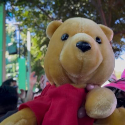 PoopyTheHaze's profile picture. 