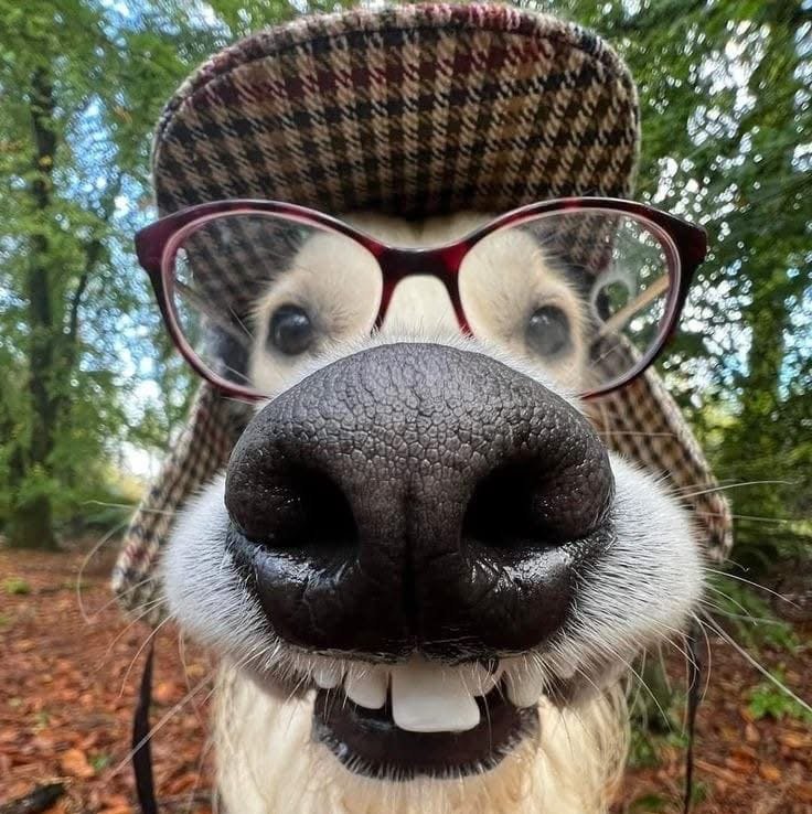 BarraCudaixr's profile picture. 