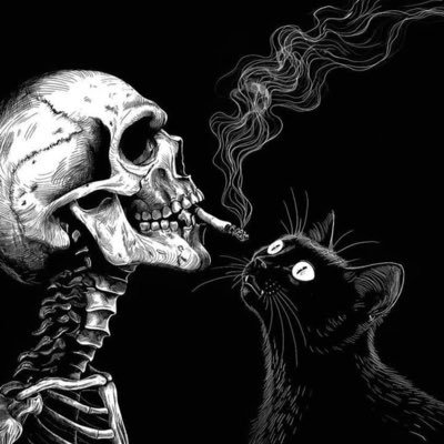 ziwsishere's profile picture. 25 | MDNI | dms open | d1 yapper about kingdom hearts | @ziwsisnothere |