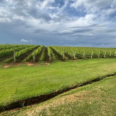 mood_easy01's profile picture. 