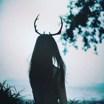 XQZAYMOI's profile picture. I ♥️ God, America, friends, family, dogs, music, art, books, poetry, smiles, and U. Yeah, you:-) No dms, please. I do not respond.