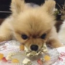 goodokkkkkkk___'s profile picture. 20⬆️⬆️