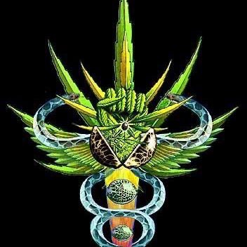 DaleRx13's profile picture. Compassion Is Action 🪽Patient since 1987 ❤️‍🩹 Patients Helping Patients ✊Peer Support comes in many forms🍄Plant Medicines over SSRIs🌱Right 2 Try Treatment