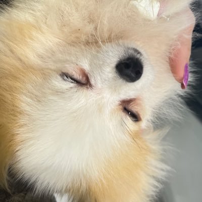 maconhari's profile picture. chata demais p ter uma boa bio