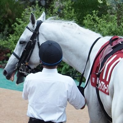 shakure_chin's profile picture. 45459292