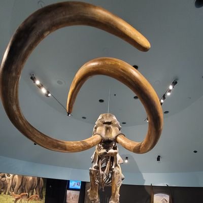 PCovaleda's profile picture. One day at a time