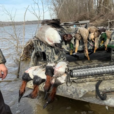 le16697's profile picture. Ky proud, duck hunter, fishing, boating, any kind of outdoors or hunting really. Don’t mess with my lab  and we will be alright 🤙🏼