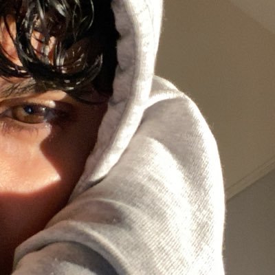 voidandverse's profile picture. swan