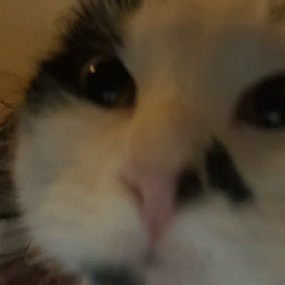 amandayoung04's profile picture. 