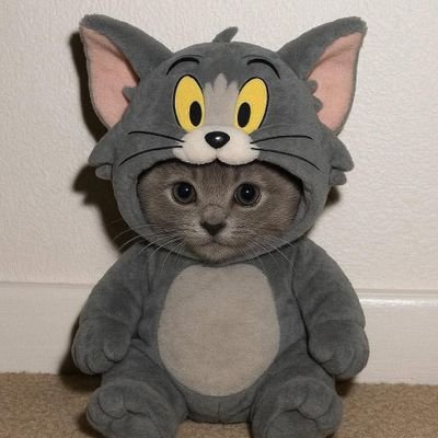 ryemundd's profile picture. solitude🍃