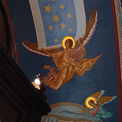 aquiliferofrome's profile picture. 