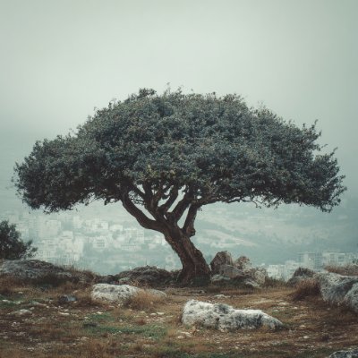 layla_electric's profile picture. I don't know what the future looks like, but I know we'll be operating it with a phone.