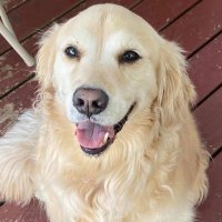 CKLW64 (@kcasey64) 's Twitter Profile Photo