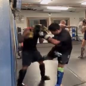 Juice_MMA's profile picture. Currently under construction. Working on getting Paulo Costa approved shins.