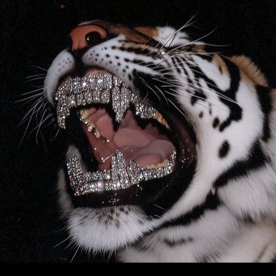 TPhillipsIV's profile picture. Born in Atlanta 🐆Yamasee🪶American Indian •QCCC•Sui Juris•Eagle Scout• 🌹⚔️🤝🏾 🎩🫡📐☠️/G\nomon of Maurya @greenthumblodge ☠️📲 PR @mapcityatlanta