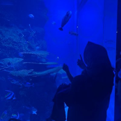 ratnakvv's profile picture. ˚✧₊⁎❝᷀ົཽ≀ˍ̮ ❝᷀ົཽ⁎⁺˳✧༚