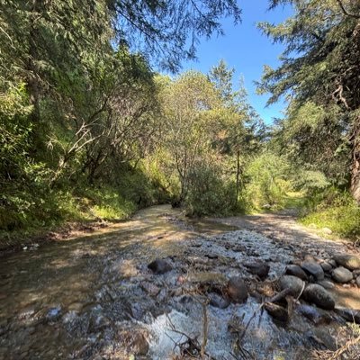 jmanueljuarez's profile picture. Psicólogo, ciclista de montaña, erreachero de más de 18 años. 
¡Tweets a título personal!
https://t.co/Y7tTGp1usL
https://t.co/8GSOLKpfuh…