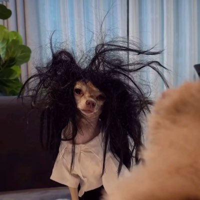 Treasure_sheart's profile picture. ✧ support all these qt🕯️| 💜ᵒᵗ⁷ | ☔️ ⁺◟✿ | เด่ก 1 โหล 🚌🚏