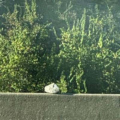 defamiliarizeu's profile picture. i try to read • 28 • she/her