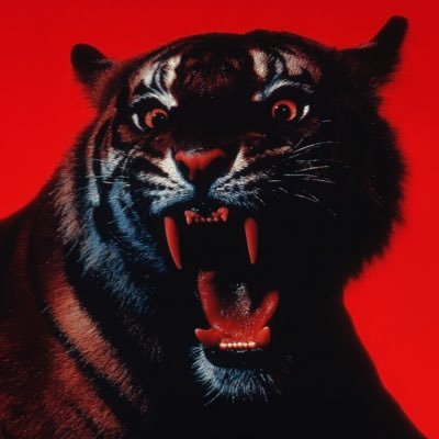 IronicTravis's profile picture. // IT'S NOT A ONE WAY //