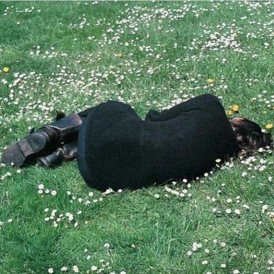 fragilefang's profile picture. I've never had a job because I'm too shy