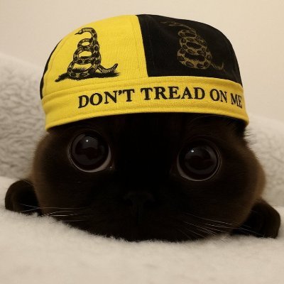 IntrospectBean's profile picture. 