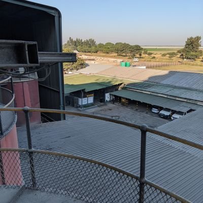 MmakolaEvans's profile picture. 