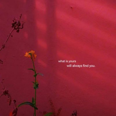 phillips12845's profile picture. Soft life,hard work, pure intentions.🖤✨