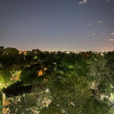 PequenoSofi's profile picture. 