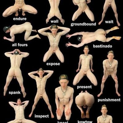 kaito1168241's profile picture. DM for submitting your slave contract
#dom #sub #sm #bdsm #male