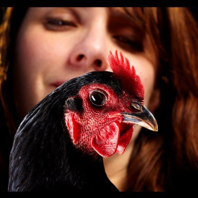 rovingchloe's profile picture. Low art.  Chickens.  ADHD stuff.  Mental illness stuff. Anarchist tendencies. Parent.  Lighting Designer.  Anti-Fascist.
🌹
she/her they/them he/him