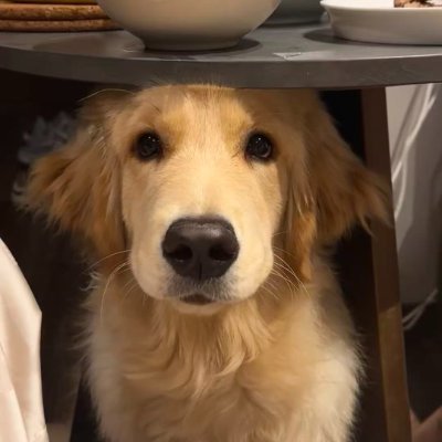 Lana_xiyunozone's profile picture. Manufacturer for Ozone Water Products 
Ozone water flosser
Ozone water spray—OzoMist
Ozone water machine
WhatsApp：+8617317276355
Email： sales@usefulozone.com