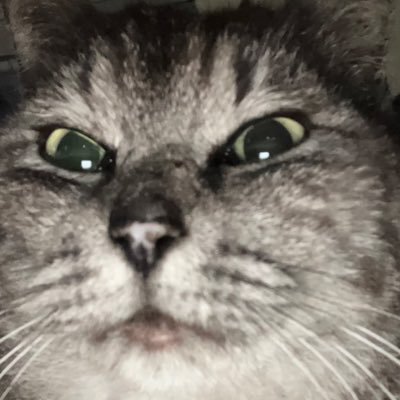 hitori95's profile picture. 独り言ですわ