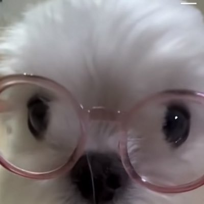 dionbrainrot's profile picture. 22 | certified robot fucker ♿️