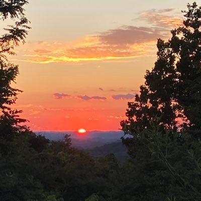 Tony48312545077's profile picture. 