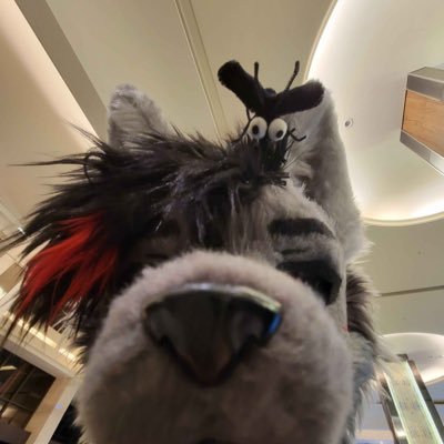 Rezo_0428's profile picture. drummer 🥁 |🪡：@Nocturnal_Fur