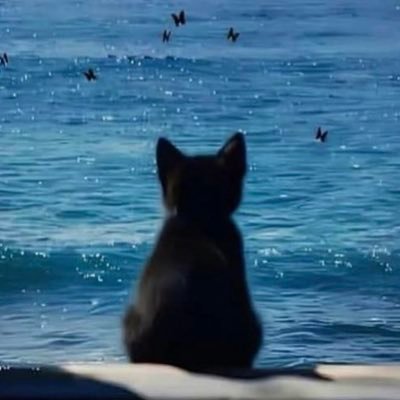 ndakinda's profile picture. 