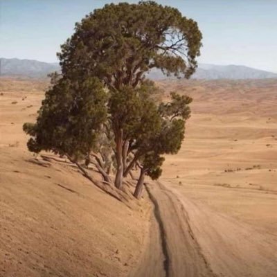 j_gabriel80544's profile picture. 