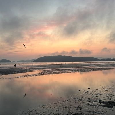 white_hello1984's profile picture. 행복과 빛을 알리는 계정 ✨️